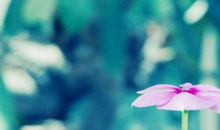 十六岁，我多了一份惆怅