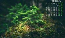 光影交错的艺术与人生