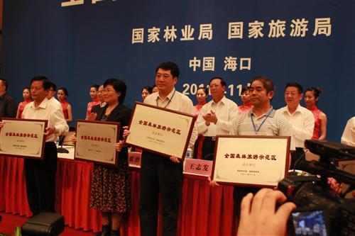 湖上的组成