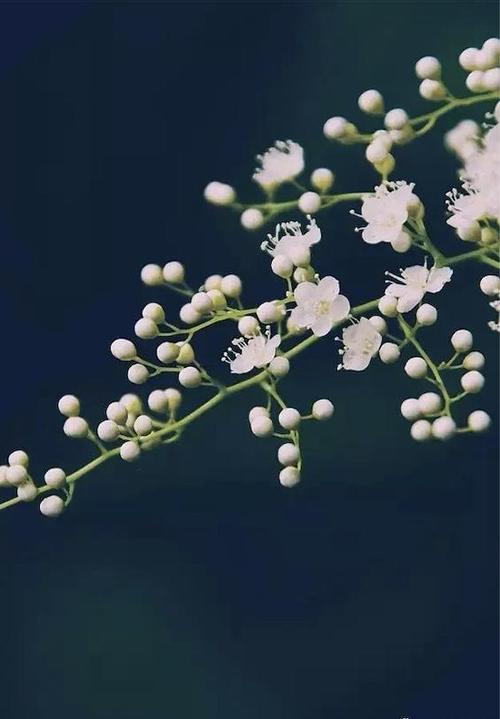 让你心中的友谊