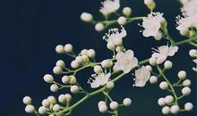 让友情在心底长驻