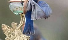 老师听听我的心里话