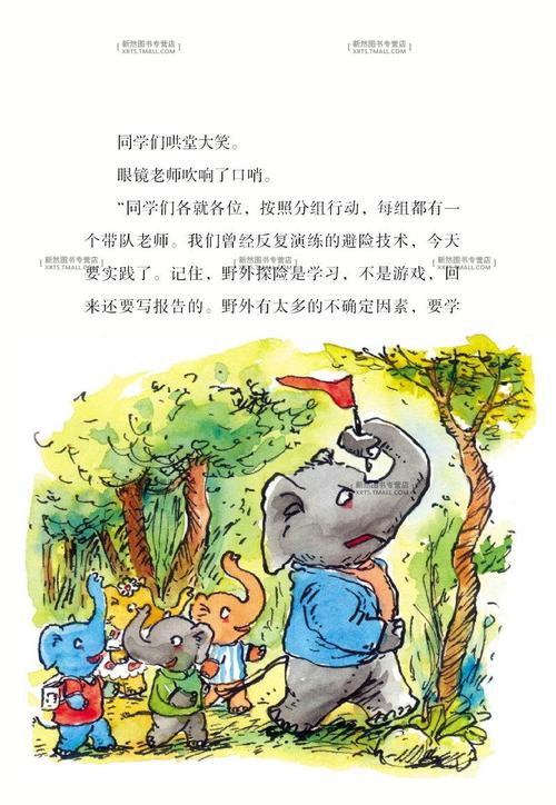 大象学校读后感