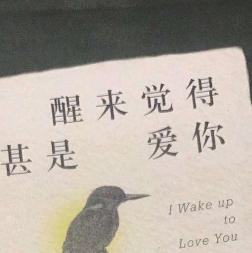 我不能忘记你的爱。