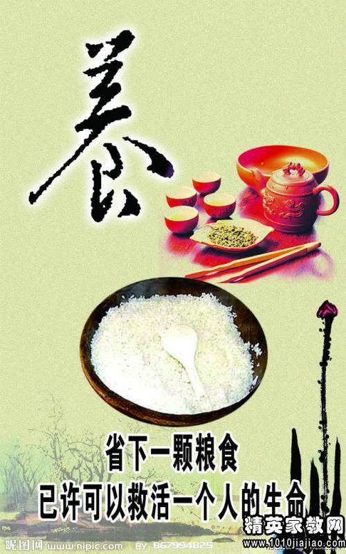 拯救食物，爱情