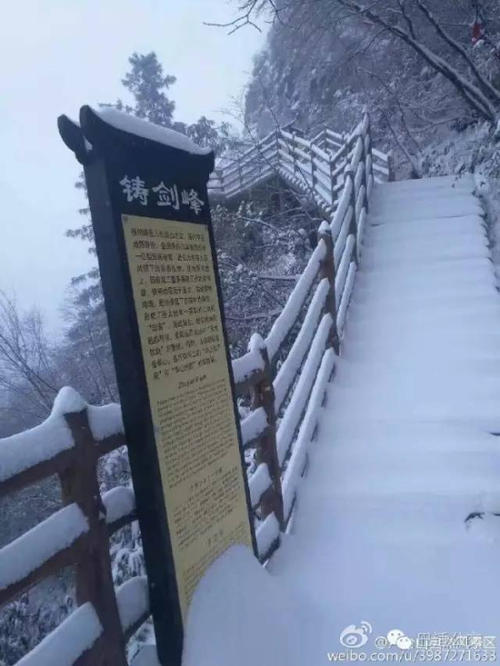 你为什么工作？