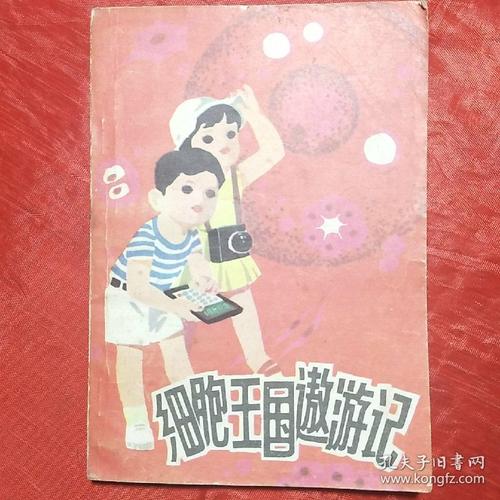 未来的旅游