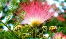 多一份宽容，多一点美好