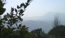 那人，那树，那老屋