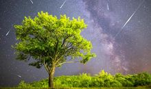 夜空中的那一抹流星