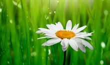 一缕最美的阳光