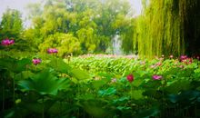 享受雨水的乐趣