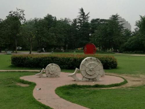 美丽的碧矶公园