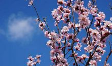 那一道风景，我内心最暖处