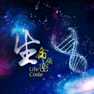 生活！生活...  - 阅读“穆沙沙漠”