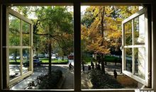 窗外的身影作文