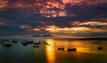 我爱故乡的大海