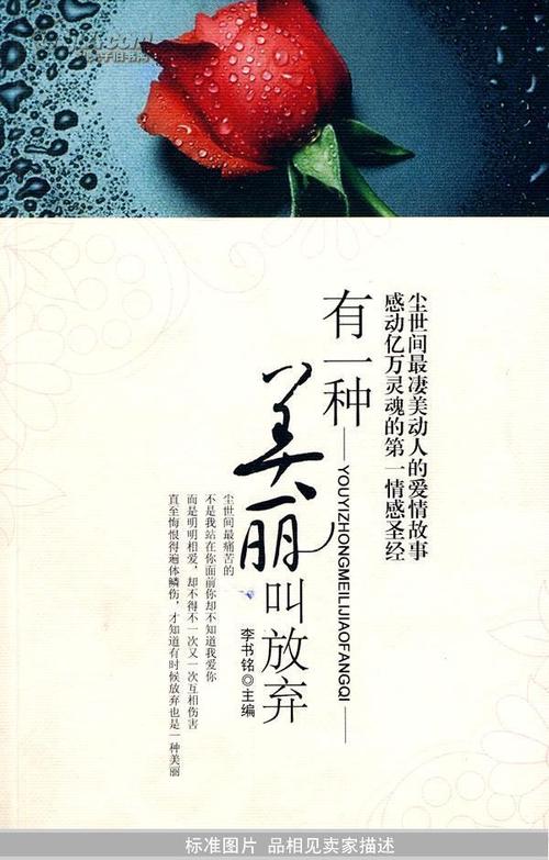 信任是一种美丽