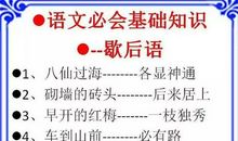 记一次谚语比赛