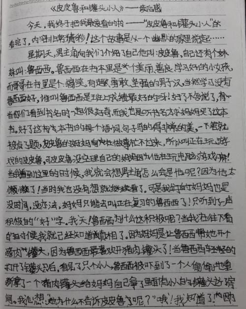 阅读（3）_350字后“PI PILU的动员”