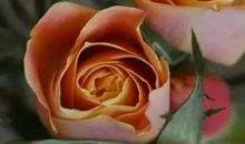 别让自己活得太累