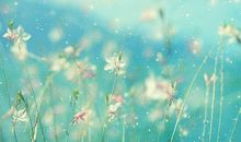 书香缭绕家风美