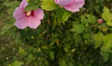 大自然让我回味无穷