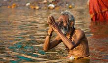爱，是生存的技能——读《中华龙鸟》有感