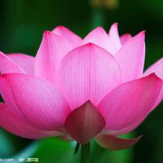 健康是一个财富