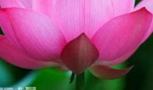 健康是一笔财富