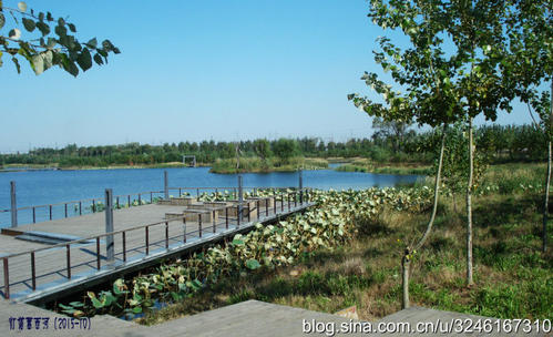京畿河公园