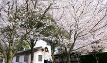 我与江南有个约定