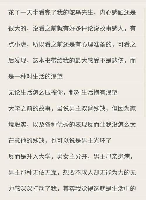 我不再困惑。