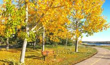 秋天里的一道风景