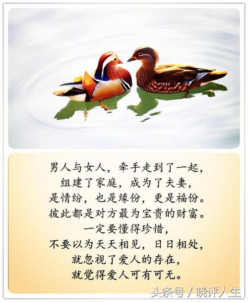 命运