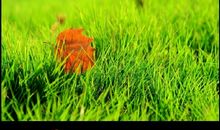 有一种态度叫珍重