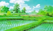 有一种美丽叫做坚持