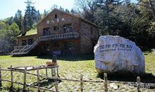 为最真挚的友情鼓掌——读《冰雪森林》有感