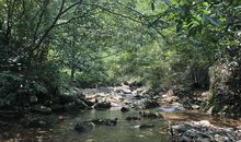 欢笑的小溪哭了