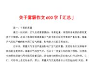 冬日里的暖阳作文600字