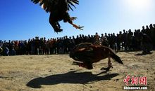 乡村生活乐趣多