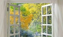 关上一扇门打开一扇窗