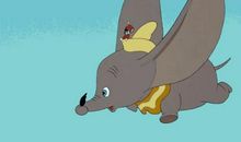 站在逆风处的爱