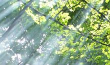 让世界多一缕阳光