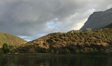 朴素之根的梦想