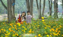 那一段嬉笑的时光