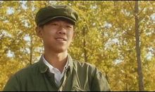 小草的璀璨人生