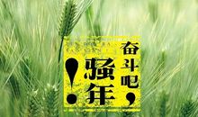 磨练意志的旅程