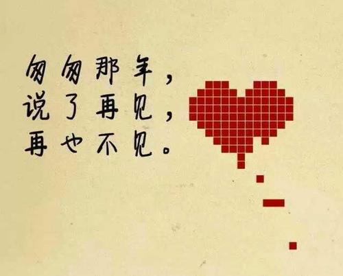 再见，我的十七岁