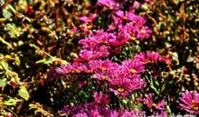 如果幸福可以逆流